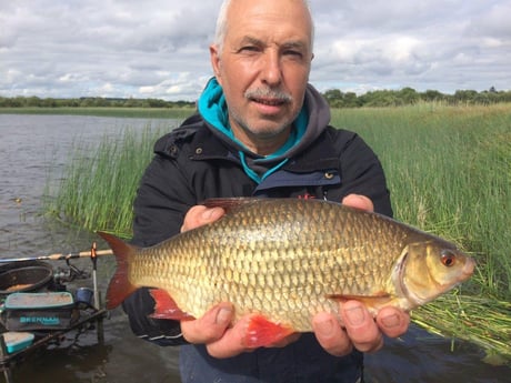 Fishing cabin 32 Longford photo 32