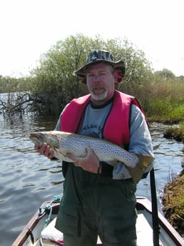 Cabina de pesca 32 Longford foto 15