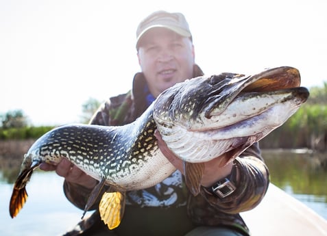 Paradis de la pêche au brochet !