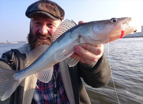 Typische lichte snoekbaars gevangen in diep winterwater.