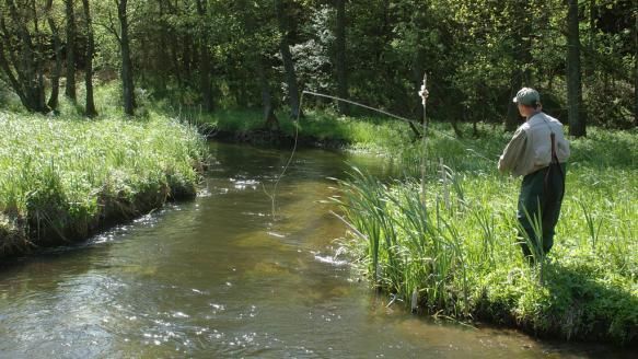 Nabijgelegen beek (900 m) Snarjebacken met uitstekend vissen op regenboogforel van april tot november