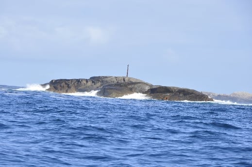 Cabane de pêche 14 Glesvær photo 7