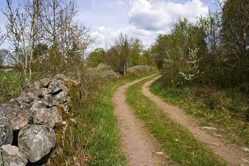 Wanderweg in der Nähe