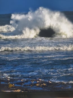 High waves