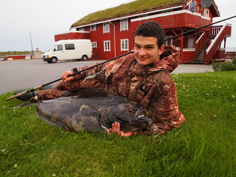 Fishing cabin 11 Smøla photo 2