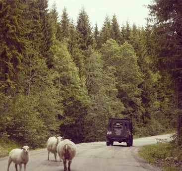 Aux portes de la nature.