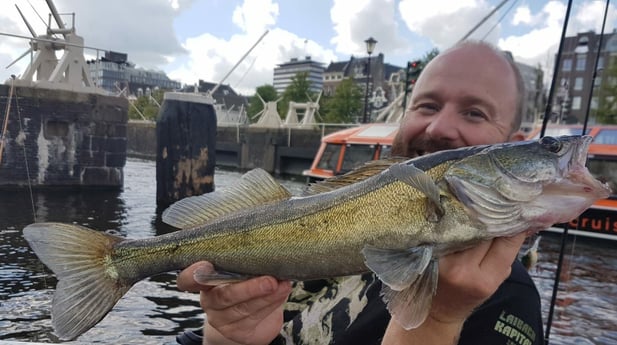 Een donkere snoekbaars uit de binnenstad.