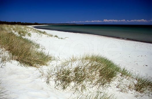 Böda Sand, en el norte de Öland