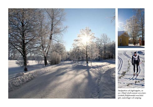 Visvakantie huisje 50 Kalmar foto 63