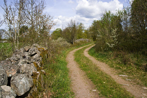 Kalmarsundsleden-wandelpad loopt vlakbij