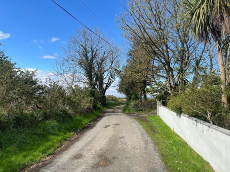 The quiet country road