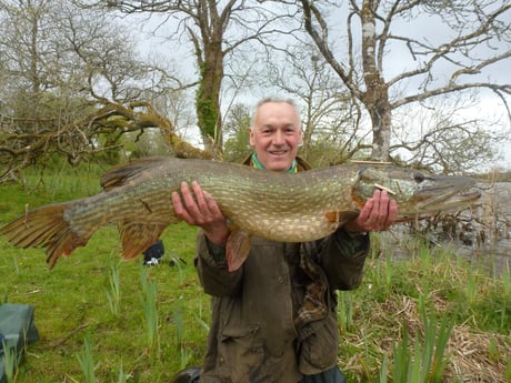 Cabina de pesca 32 Longford foto 27