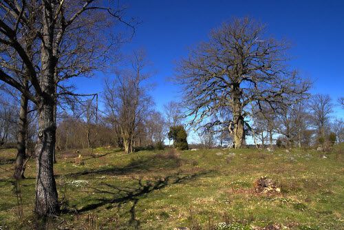 Nearby walking trail