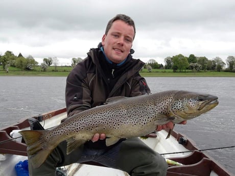 True Irish trout