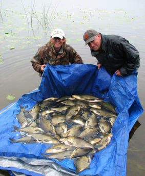 Fishing cabin 32 Longford photo 38