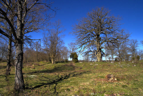 Le sentier pédestre passe à proximité