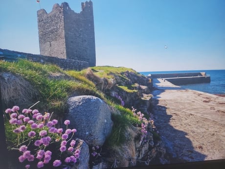 Easkey castle in Spring