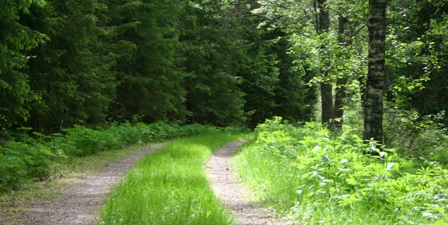 El sendero para caminar pasa cerca