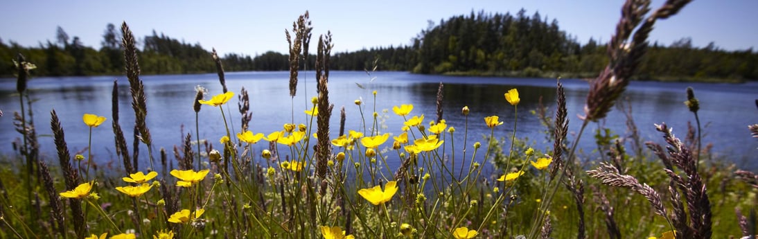 Kalmarsundsleden-wandelpad loopt vlakbij