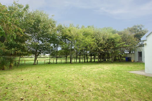 Side garden