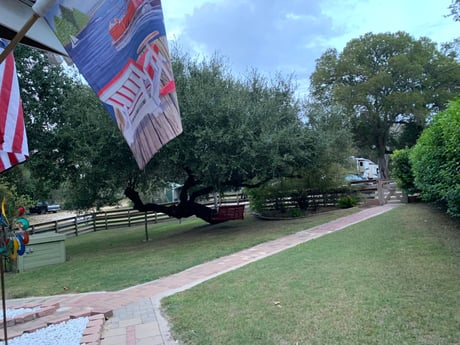 unlimited parking on gravel off paved county road
crazy shade trees throughout property