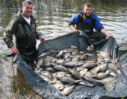 Un día de curso de pesca en Irlanda.