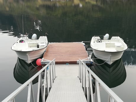 Fishing cabin 53 Tustna photo 16
