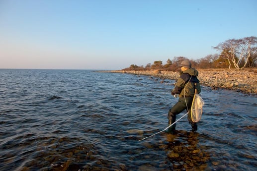 Sea Trout fishing at reefs nearby in March-April and October-December