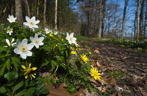 Der Wanderweg Kalmarsundsleden führt in der Nähe vorbei