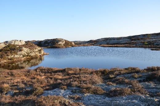 Visvakantie huisje 14 Glesvær foto 5