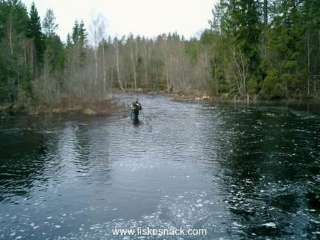 Nearby stream Snarjebacken where you can be fishing Rainbow Trout April-November