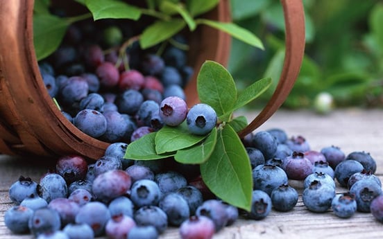 Blueberries