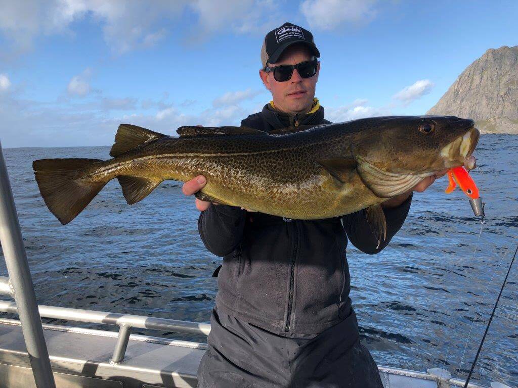 Even during summer time you can catch large cod